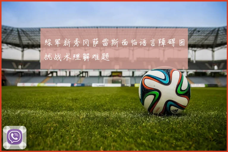 绿军新秀冈萨雷斯面临语言障碍困扰战术理解难题