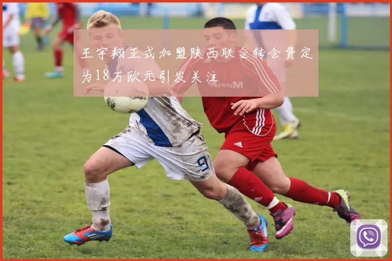 王宇翔正式加盟陕西联合转会费定为18万欧元引发关注