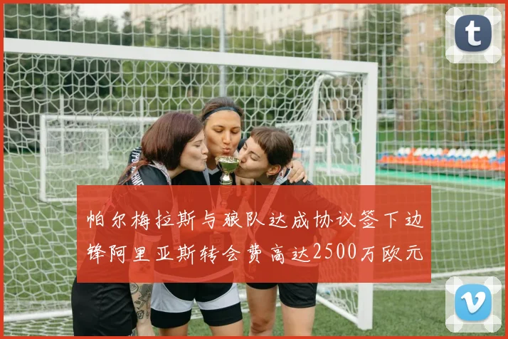 帕尔梅拉斯与狼队达成协议签下边锋阿里亚斯转会费高达2500万欧元